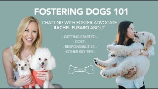 Fostering Dogs 101: Rachel Fusaro Shares Advice for Getting Started