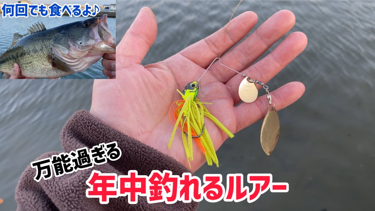 【2月バス釣り】強風と減水の中,何で釣れるか探すのも楽しいbass fishing!!