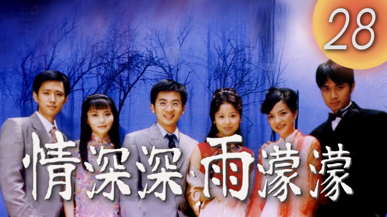 非売品】蘇有朋、古巨基、趙薇、林心如出演ドラマ「情深深雨濛濛 