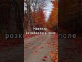 Дякую Богу за осінь! Автор Ольга Фабін #shorts #вірші #осінь #autumn #thankgod