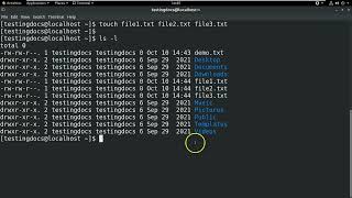 Linux touch command
