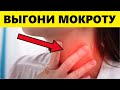 Как Выгнать Слизь и Мокроту Из Горла и Груди? Поможет Этот Обычный...