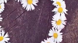 İkimizin Yerine Fon Müzik