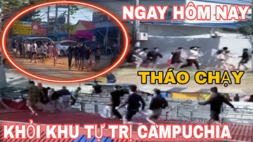 Toàn Cảnh Gần 100 Người Việt Tháo Chạy Khỏi Khu Tự Trị" Màn Rượt Đuổi Hỗn Loạn Giữa Phố