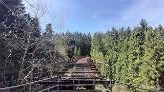 Unknown song "The only one for damn sure" (????)