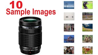 Long Reach OM 40150 F4 Photography [SAMPLE IMAGES] Versatile Telephoto Zoom PRO