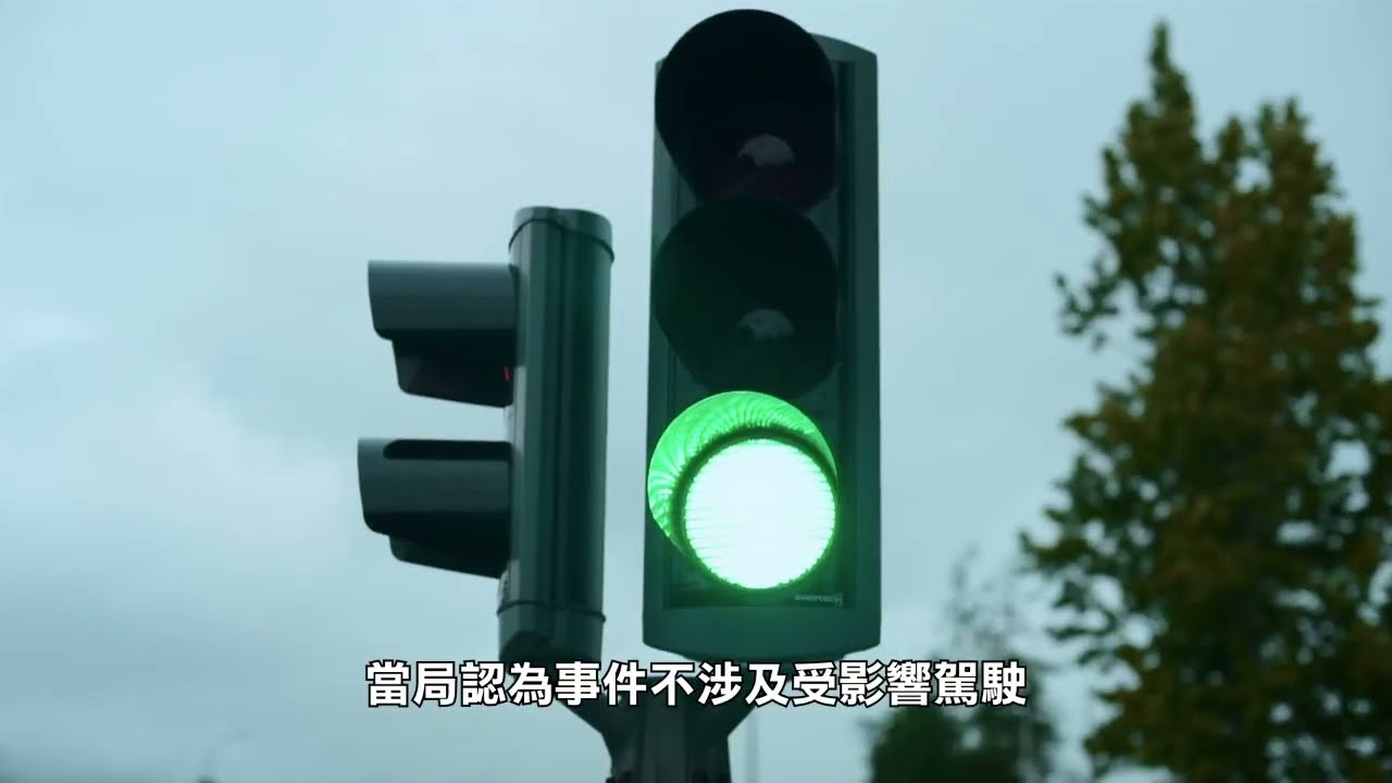 【天下新聞】北加州: 好心人護送小鴨過馬路 卻被車撞倒不幸喪生