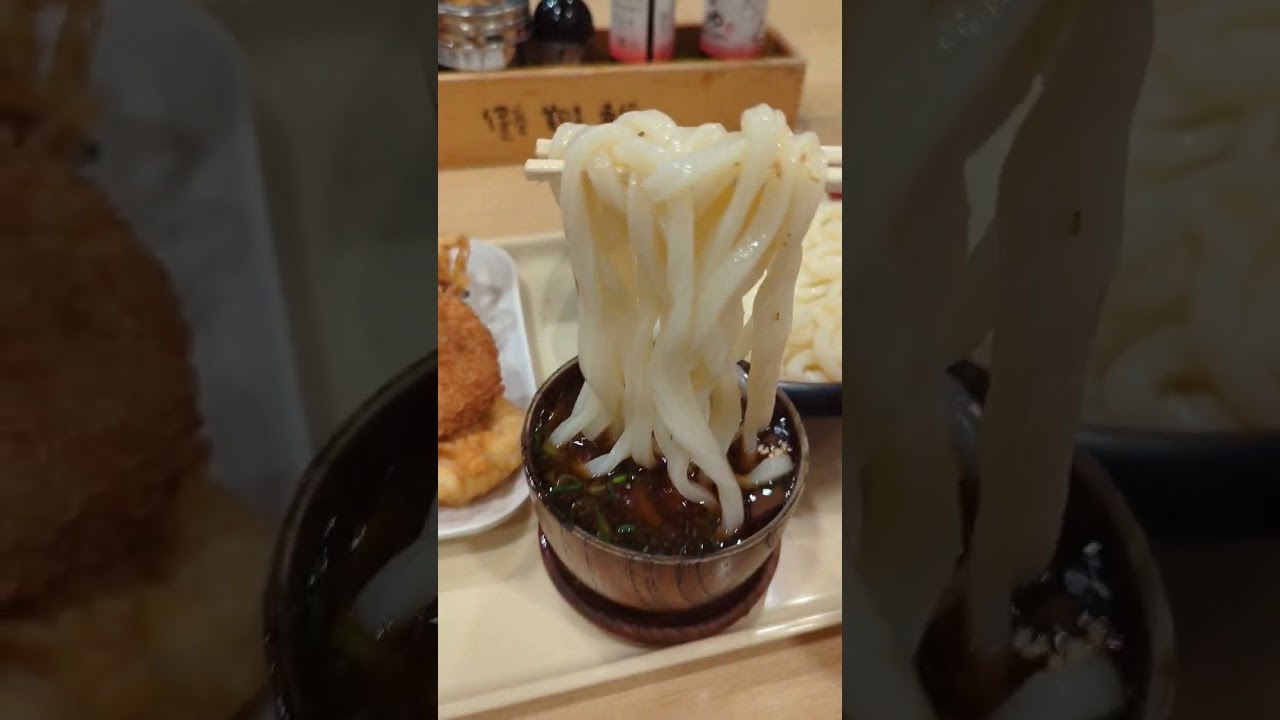 Delicious! Cold Dipping Udon In Tokyo Japan!