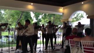 Video thumbnail of "Mariachi nuevo Tecalitlan .. Tema mujer enamorada"