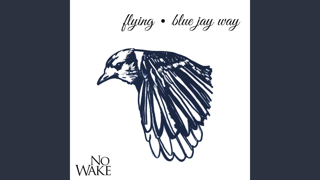 Flying / Blue Jay Way YouTube