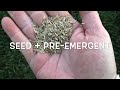 Grass Seed + Pre-Emergent???