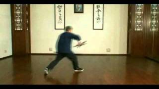 王樹金老師形意拳真伝 楽天ブックス: 王樹金老師形意拳真伝 - 河野義勝