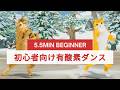 かんたん安心！初心者向け有酸素ダンス😸