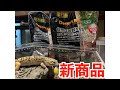 ヒョウモントカゲモドキ飼育#94【新商品 デザートベース】