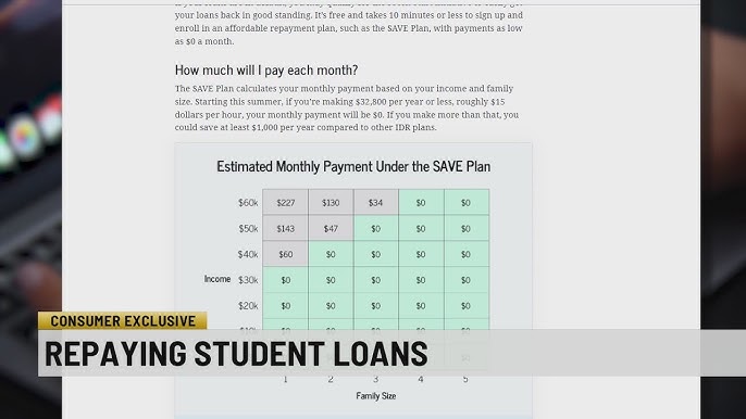 Optimizing Student Loan Repayments 2024