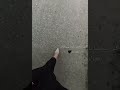 يجي غيري اه يجي زيي لا يجي غيري اه يجي زيي لا