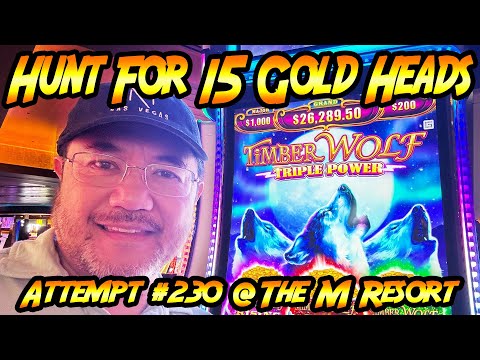 Hunt For 15 Gold Heads Ep. #230 with Series Summary, Timber Wolf Triple Power from the M Resort!