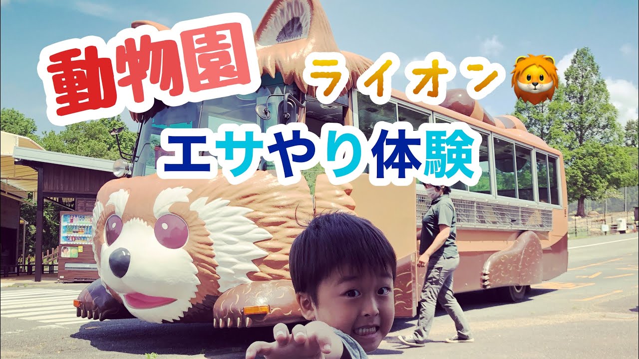 サファリバスで、エサやり！