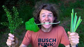 Der Hochsommer ist der absolute Endgegner! 1 Tag Ernährung nur aus dem Wald - Juni