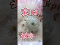 【つまみ細工】瑞々しいつまみ細工のお花とがま口のセット#つまみ細工 #ハンドメイド #Shorts