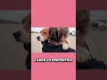 If you’re looking for a new dog, consider one of these 1500 beagles #beagle #activism #adoptdontshop