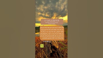 مَن قَرَأَ سورةَ الكَهفِ يومَ الجُمُعةِ أضاءَ له من النورِ ما بَينَ الجُمُعتين