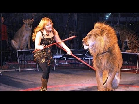 تجربتي مع السيرك العالمي في مرسي مطروح مطروح مالديف مصر