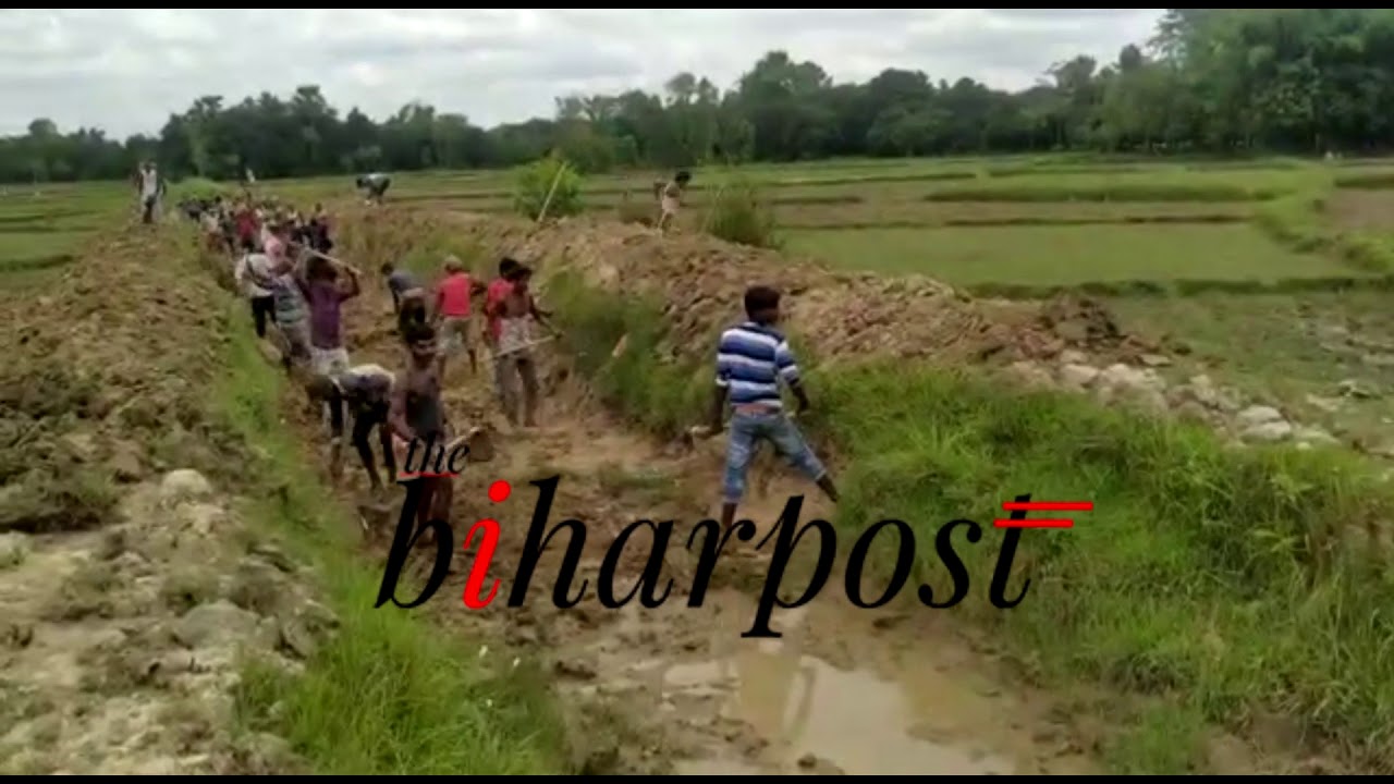 Bihar migrant workers revive 2 KM-long dead canal in 7 days