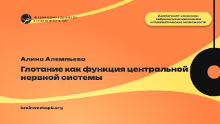 картинка: Семинар «Диалог мозг–кишечник: нейрональные механизмы»/«Глотание как функция ЦНС»
