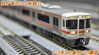 我が家の313系紹介]300番台Y37 - YouTube