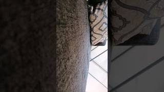 October 8, 2024 Content