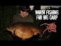 Worm fishing for big carp  alfie russell