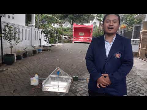 Video: Berapa biaya sistem pemurnian air seluruh rumah?