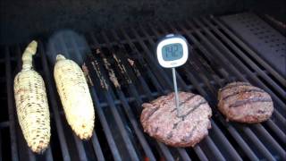 Safe Grilling Temperatures