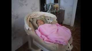 Укачивающий центр Graco Sweetpeace(, 2013-08-21T10:53:06.000Z)