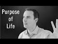 Hints to The Purpose of Life