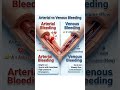What is the difference between Arterial &amp; Venous blood ? #nursingstudent#nursing#nurse#viral#shorts