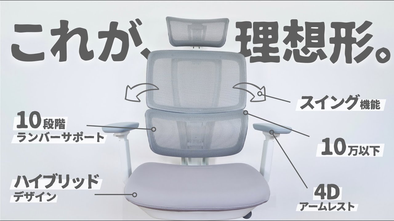 【美品】THE ERGORISM PRO 多機能ワークチェア ミニマルデザインワークチェア『THE ERGORISM PRO – ERGOFINITE