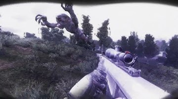 How to waste ammo in Stalker Gamma #stalker2 #stalker #anomaly #stalkeranomaly #games #gaming #fps