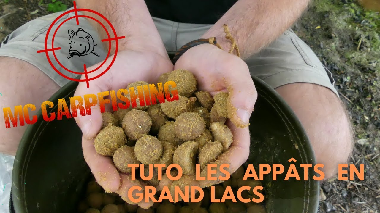 Les meilleurs appâts pour pêcher la carpe