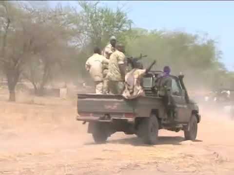 جرائم جنجويد في جنوب كردفان منطقة دلدكو