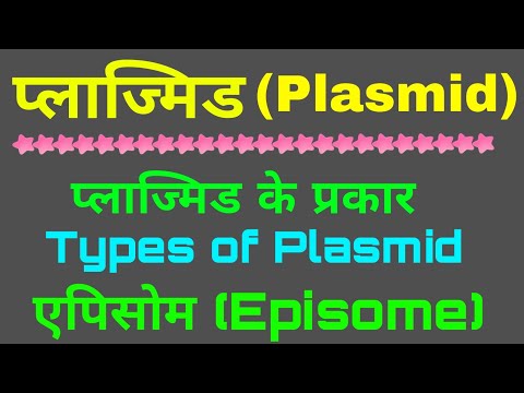 Plasmid(प्लाज्मिड)| प्लाज्मिड के प्रकार | Types of Plasmid | एपिसोम | Episome | Biology class 12