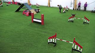 International Agility Training Week - Proper timing when cueing turns - preview
