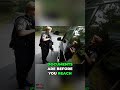 Pennsylvania Traffic Stop Secrets  Stay Safe &amp; Know Your Rights!