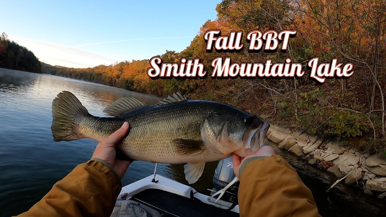 Fall Big Bass Tour (Smith Mountain Lake)