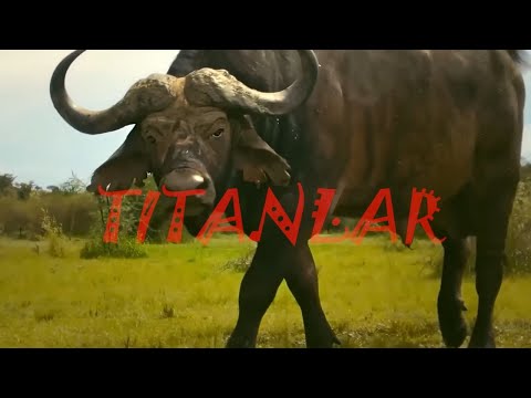 Anya opani vasvasasi porno Seylor Mun va Mamoru porno