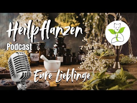 What Your Favorite Medicinal Plants Reveal | Podcast