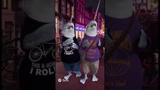 Download Lagu Narwhals visit Red Light District in Amsterdam 🚨🌷 MP3