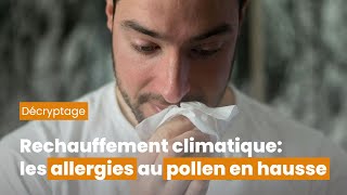 Réchauffement climatique : les allergies au pollen sont en hausse