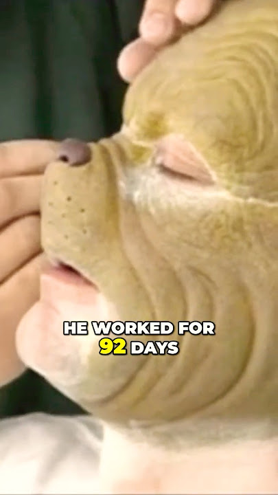 Jim Carrey On Transforming Into The Grinch's Makeup